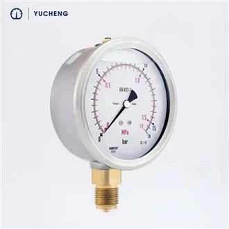 30 PSI প্রেসার টেস্ট গেজ